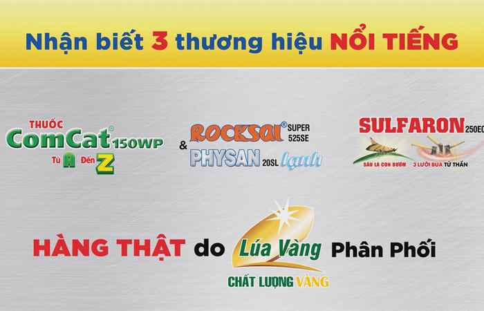 Mầm khỏe – mạ sung – thuốc diệt cỏ hạt G công nghệ mới diệt có hậu nảy mầm (17-05-2025)